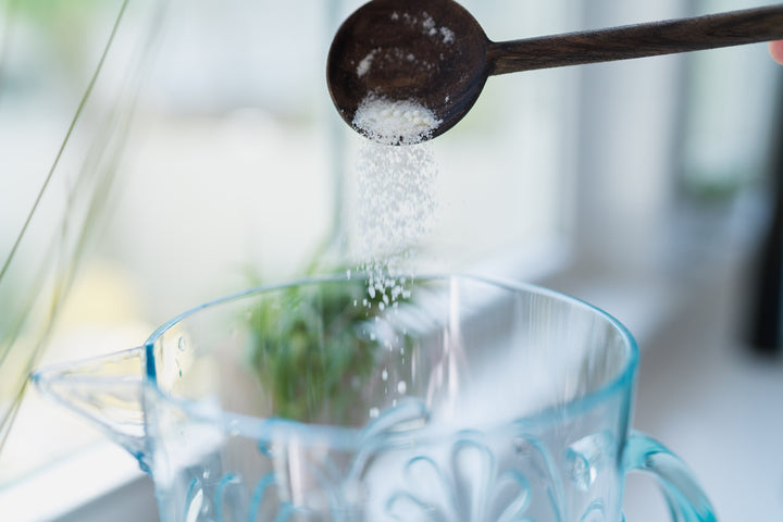 Powdered Tillandsia Air Plant Fertilizer Mix Being Poured Into a Gallon of Water