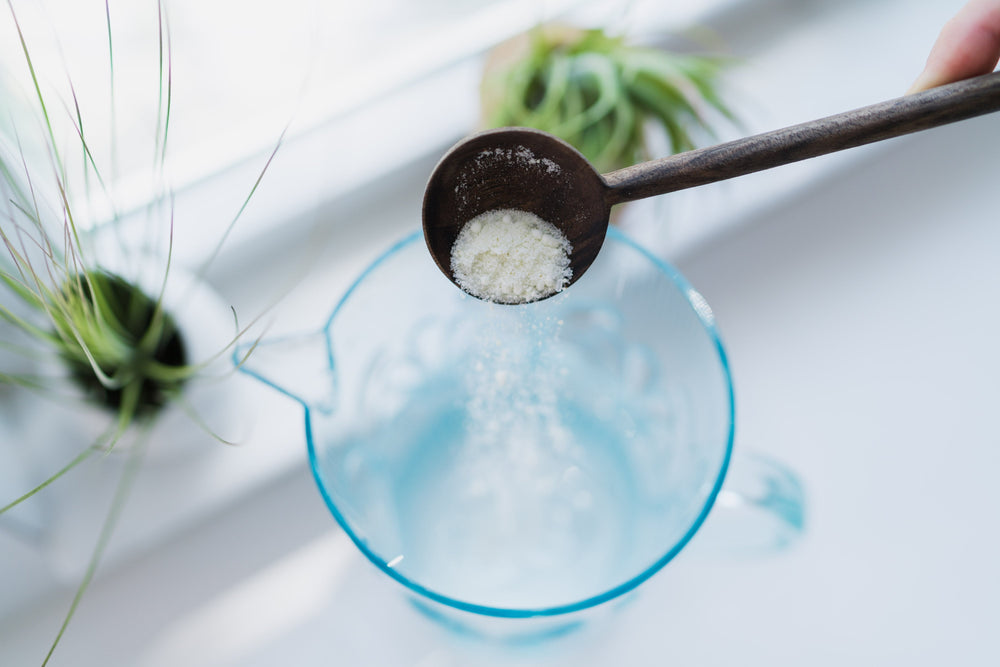 Powdered Tillandsia Air Plant Fertilizer Mix Being Poured Into a Gallon of Water