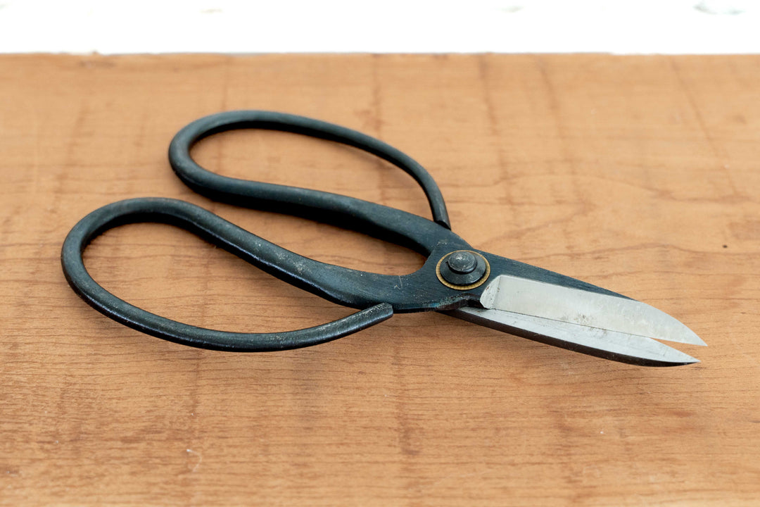 Bonsai-Style Pruning Scissors for Tillandsia Air Plants