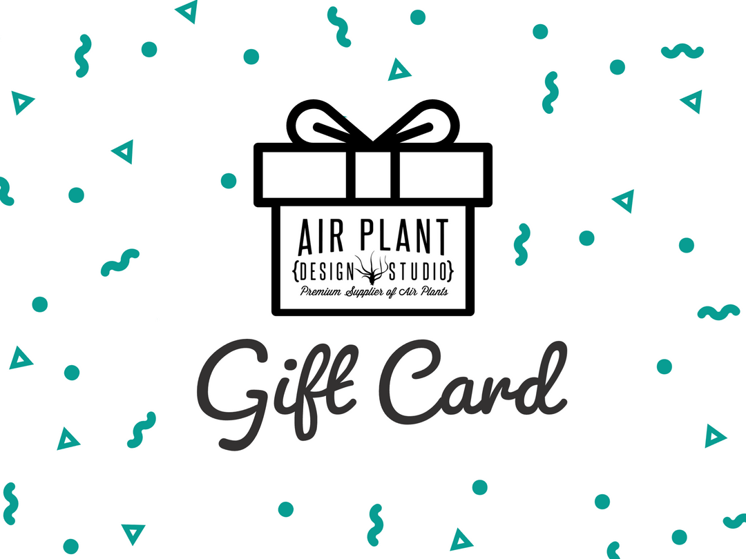 E-Gift Card